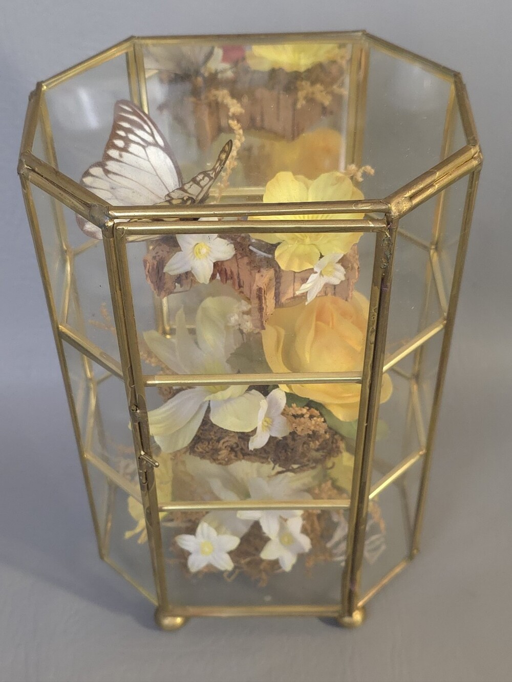 Mid Century Vintage Butterfly Taxidermy Floral In Brass And Glass Curio Cabinet